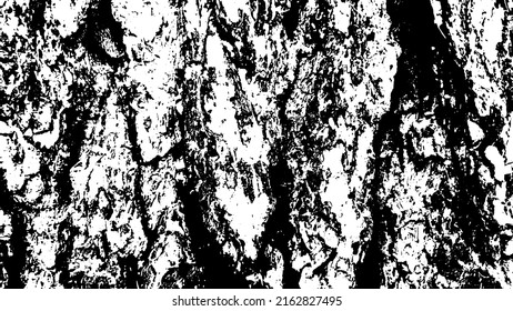 Tree bark with beautiful patterns for graphic design or wallpapers. Design elements. Old tree. Sunlight on bark. Background texture. Vector illustration.