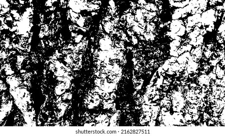 Tree bark with beautiful patterns for graphic design or wallpapers. Design elements. Old tree. Sunlight on bark. Background texture. Vector illustration.