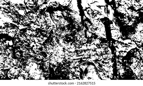 Tree bark with beautiful patterns for graphic design or wallpapers. Design elements. Old tree. Sunlight on bark. Background texture. Vector illustration.