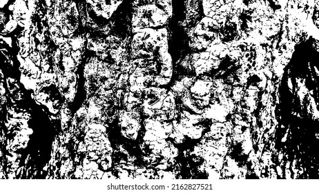 Tree bark with beautiful patterns for graphic design or wallpapers. Design elements. Old tree. Sunlight on bark. Background texture. Vector illustration.