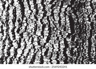 Tree bark with beautiful patterns for graphic design or wallpapers. Design elements. Old tree. Sunlight on bark. Background texture. Vector illustration.
