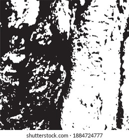 Tree bark. Tree core. Design element. Background texture, vector illustration.