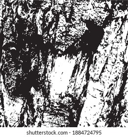 Tree bark. Tree core. Design element. Background texture, vector illustration.