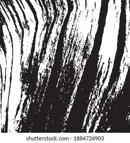 Tree bark. Tree core. Design element. Background texture, vector illustration.