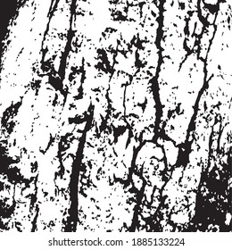 Tree bark. Tree core. Design element. Background texture, vector illustration.