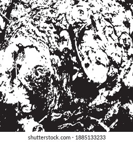 Tree bark. Tree core. Design element. Background texture, vector illustration.