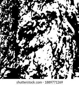 Corteza de árbol. Núcleo del árbol. Elemento de diseño. Textura de fondo, ilustración vectorial.