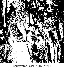 Tree bark. Tree core. Design element. Background texture, vector illustration. 