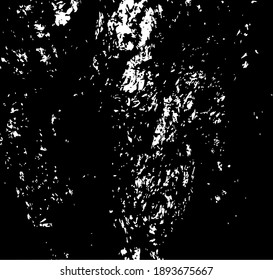 Tree bark. Tree core. Design element. Background texture, vector illustration.