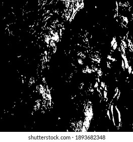 Tree bark. Tree core. Design element. Background texture, vector illustration.