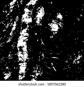 Corteza de árbol. Núcleo de árbol roto. Elemento de diseño. Textura de fondo, ilustración vectorial. 