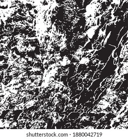 Tree bark. Design element. Background texture, vector illustration.