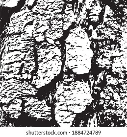 Tree bark. Design element. Background texture, vector illustration.