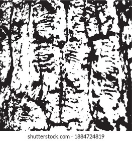 Tree bark. Design element. Background texture, vector illustration.