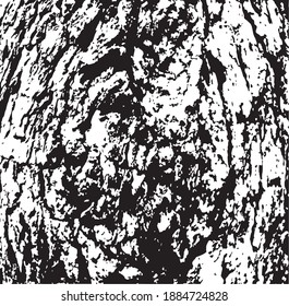 Tree bark. Design element. Background texture, vector illustration.