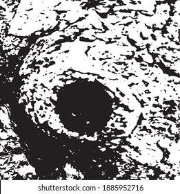 Tree bark. Design element. Background texture, vector illustration.