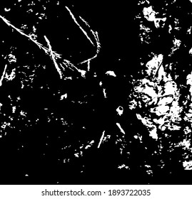 Tree bark. Design element. Background texture, vector illustration. 