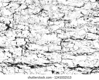 Tree bark halftone texture overlay. Vintage natural wood vector background with cracks