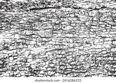 Tree bark texture background vector,Black and white background 