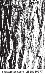 Tree bark texture background vector,Black and white background 