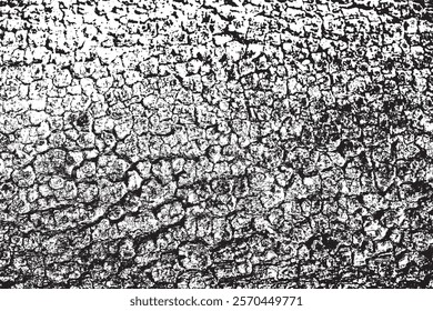 Tree bark texture background vector,Black and white background 