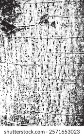 Tree bark texture background vector,Black and white background 