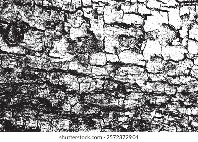 Tree bark texture background vector,Black and white background 