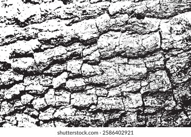 Tree bark texture background vector,Black and white background 