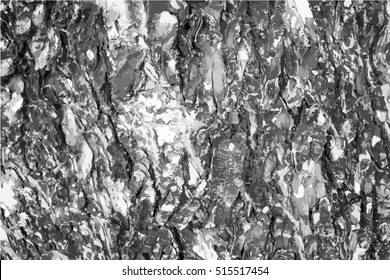 Tree bark texture black and white vector illustration. Black and white background with natural tree skin surface. Rough wood ornament trace. Old tree trunk macro image.  Cracked timber shabby backdrop