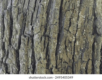 Tree bark texture, bark texture structure. Vector.