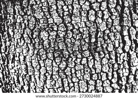 tree bark texture vector background Vector texture pattern
