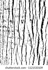 Tree bark texture. Wooden background for graphic design. Vector illustration. Distressed overlay.