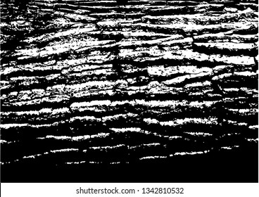 Tree bark textures  isolated on white background.