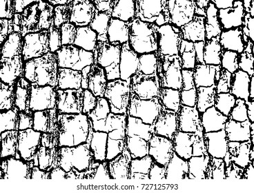 Tree bark textures set isolated on white background. 