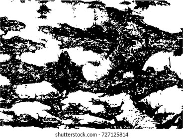 Tree bark textures set isolated on white background. 