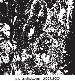 A tree bark for your design, black and white vector.