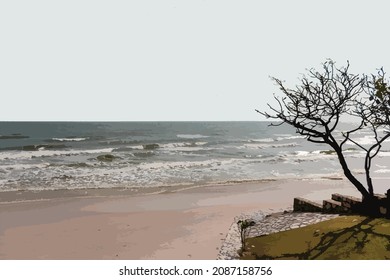 tree at the beach with beautiful sky