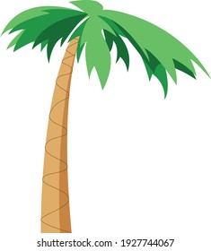 Tree beach coconut green and palm