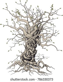 tree with beautifully randomly interlaced twigs and roots in Japanese style on a white background
