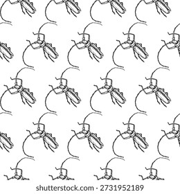 Besouro da árvore com bigode longo, padrão sem costura. Ilustração vetorial. Desenho simples de insetos isolados em um fundo branco.