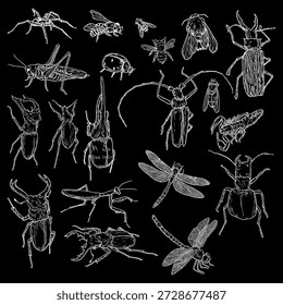 Escarabajo del árbol, escarabajo del rinoceronte y abejorro, moscas y abejas, conjunto de siluetas blancas. Ilustración vectorial. Un dibujo simple de insectos, libélulas y arañas, aislados sobre un fondo negro.