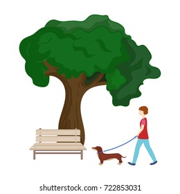 Tree and bench, woman walks a pet in the park. Pet ,Dog care single icon in cartoon style vector symbol stock illustration web.