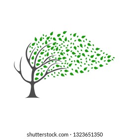 The tree bends in the wind and leaves break. Leaves flying in the wind.