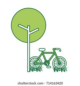 tree bicycle natural foliage park plant