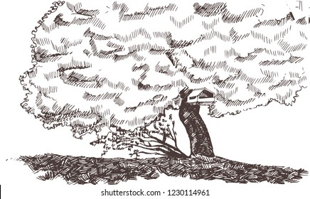 Tree with big crown hand drawn sketch. Park landscape vector illustration.