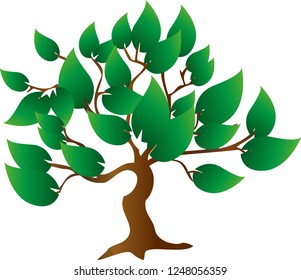Tree with big leaves