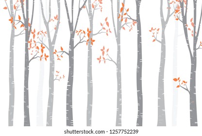 Tree Birch Background