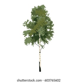 Tree birch clip art, vector