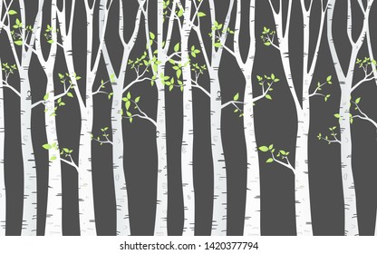 Tree Birch Design Background With Birch Forest Vector
