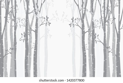 Tree Birch Design Background With Birch Forest Vector